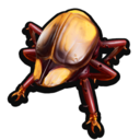 Earwig Part